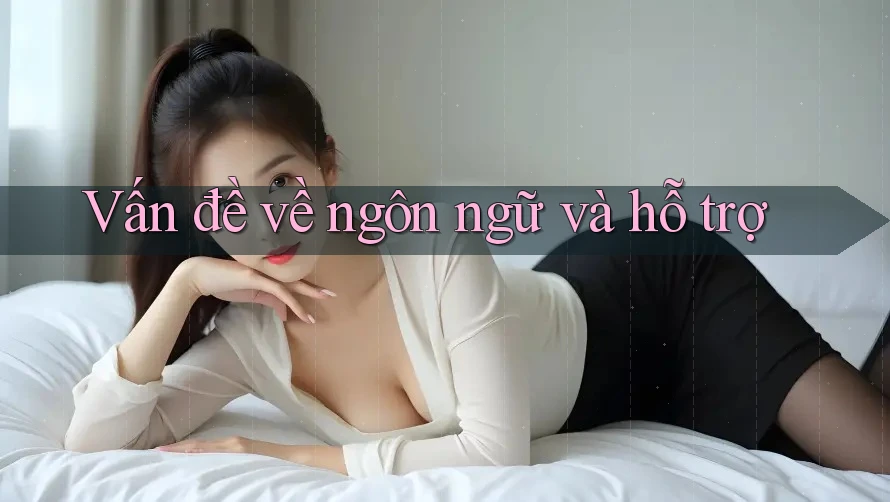 Vấn đề về ngôn ngữ và hỗ trợ Vấn đề về ngôn ngữ và hỗ trợ