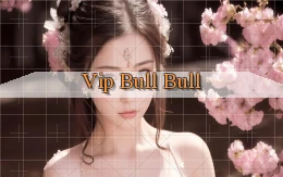vip Bull Bull